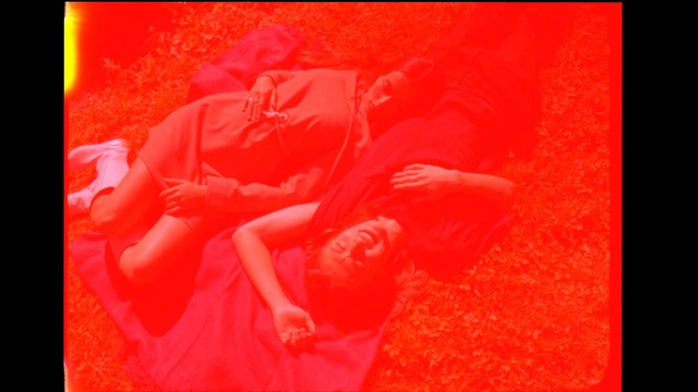 Video Reference: Red, Orange, Flesh, Art