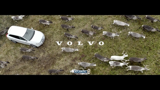 Video Reference: ecosystem, fauna, mode of transport, litter, grass, biome, organism, water