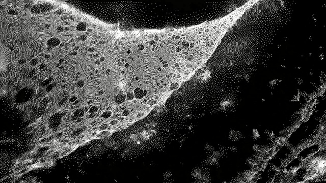 Video Reference: Black, Black-and-white, Water, Monochrome photography, Monochrome, Sky, Atmosphere, Stock photography, Pattern, Photography