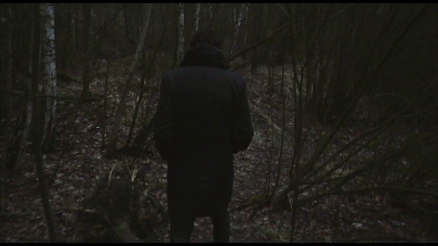 Video Reference: Black, Nature, Forest, Darkness, Tree, Natural environment, Woodland, Atmospheric phenomenon, Branch, Atmosphere