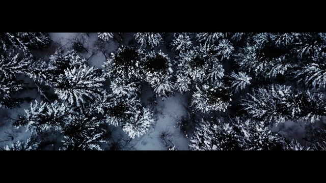 Video Reference: star, fountain, Person