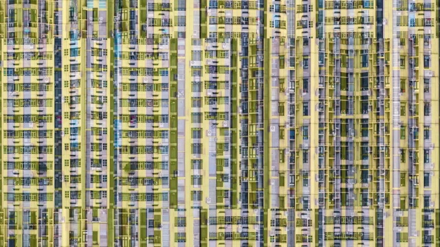 Video Reference: pattern, metropolis, building, line, tree, grass, facade, window, grass family, urban design