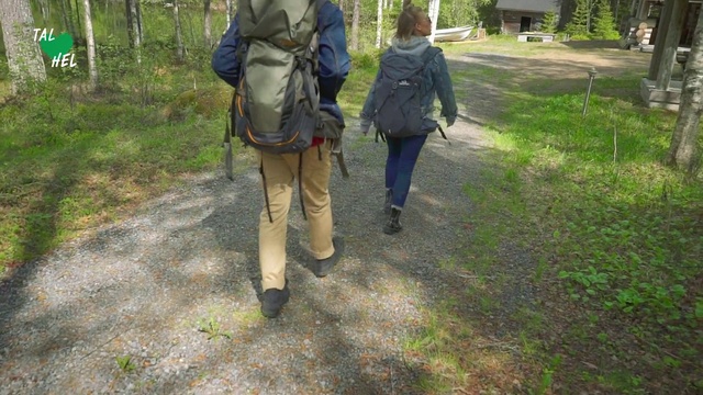 Video Reference: Walking, Tree, Recreation, Adventure, Forest, Backpacking, Hiking, Plant, Trail, Hiking equipment