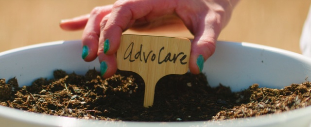 Video Reference: chocolate, food, baking