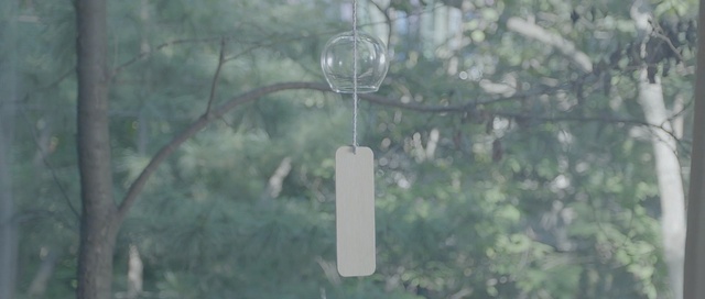 Video Reference: tree, leaf, forest, grass, branch, woodland, biome, sunlight, outdoor structure, plant