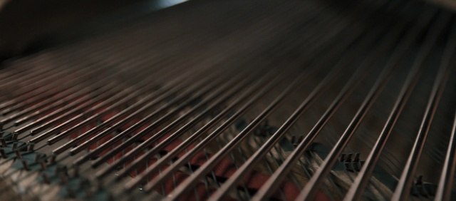 Video Reference: String instrument, Line, Musical instrument, Wood, Plucked string instruments, Folk instrument, Metal