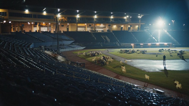 Video Reference: Sport venue, Stadium, Arena, Soccer-specific stadium, Night, Atmosphere, Sky, Grass, Field house, Architecture