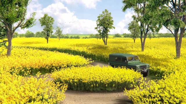 Video Reference: Rapeseed, Canola, Natural landscape, Mustard plant, Nature, Field, Yellow, Plant, Brassica rapa, Flower, Person