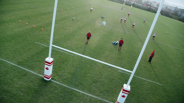 Video Reference: Player, Sports, Sport venue, Team sport, Football, Stadium, Soccer-specific stadium, Ball game, Grass, Sports equipment