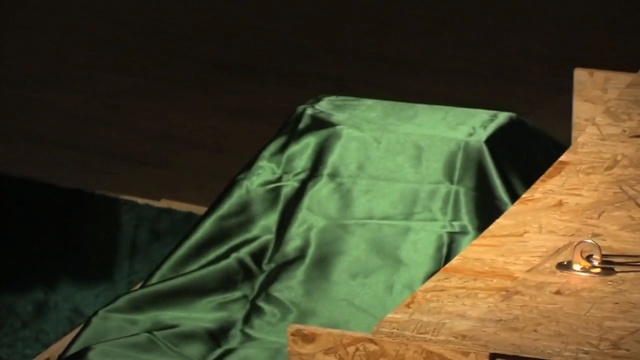 Video Reference: Green, Wood, Leaf, Room, Textile, Art