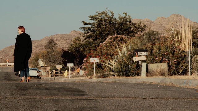 Video Reference: road, tree, sky, infrastructure, plant, landscape, winter, street, Person