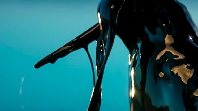 Video Reference: divemaster, wetsuit, underwater diving, diving equipment, sky, scuba diving, organism, computer wallpaper, personal protective equipment, marine biology