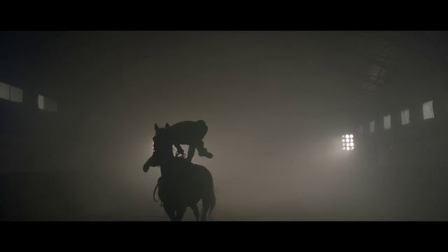 Video Reference: Black, Darkness, Light, Horse, Atmospheric phenomenon, Sky, Monochrome, Black-and-white, Photography, Atmosphere