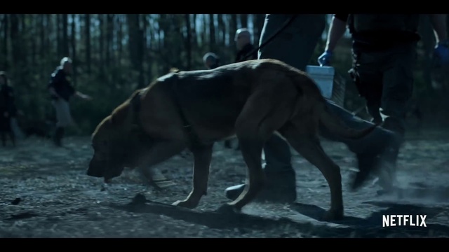 Video Reference: Wildlife, Organism, Terrestrial animal, Dinosaur, Adaptation, Fictional character, Tyrannosaurus, Movie, Darkness, Screenshot
