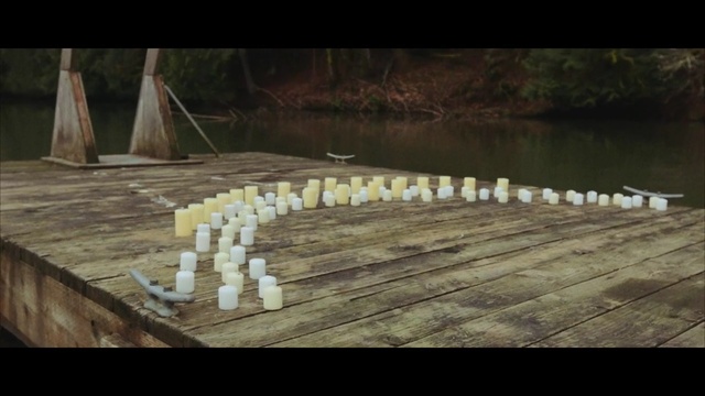 Video Reference: water, ecosystem, wood, biome, reflection