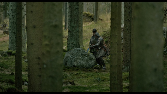 Video Reference: woodland, forest, tree, ecosystem, wilderness, old growth forest, grass, jungle, screenshot, biome