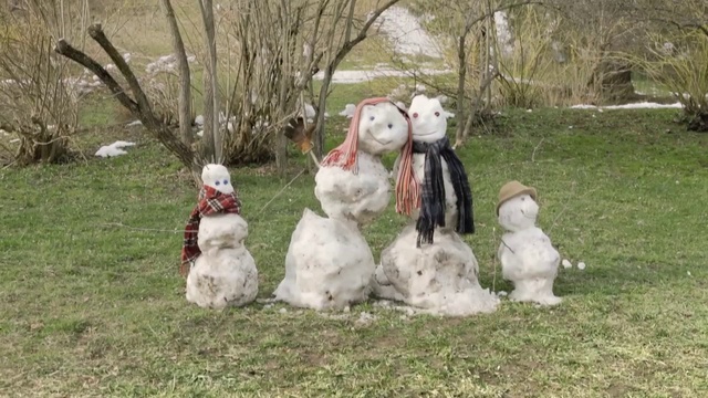 Video Reference: Snowman, Grass, Snow, Hare, Person