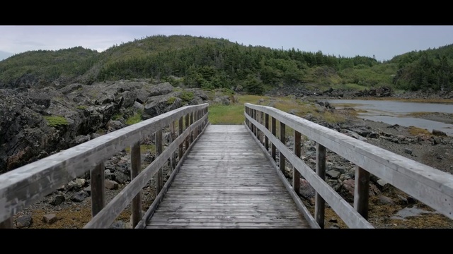 Video Reference: nature reserve, boardwalk, sky, walkway, bridge, coast, road, loch, wetland, reservoir