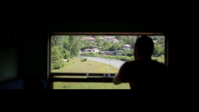 Video Reference: Photograph, Black, Green, Snapshot, Tree, Tints and shades, Photography, Sunlight, Window, Backlighting