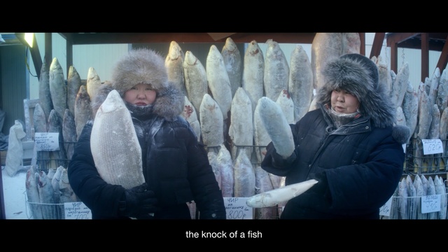 Video Reference: Snapshot, Fur, Fun, Adaptation, Freezing, Photography, Winter, Photo caption, Fur clothing, World, Person