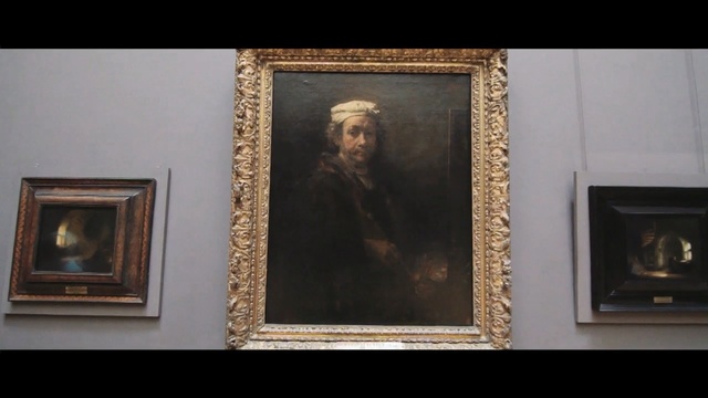 Video Reference: art gallery, picture frame, art, museum, art exhibition, tourist attraction, painting, modern art, collection, exhibition, Person