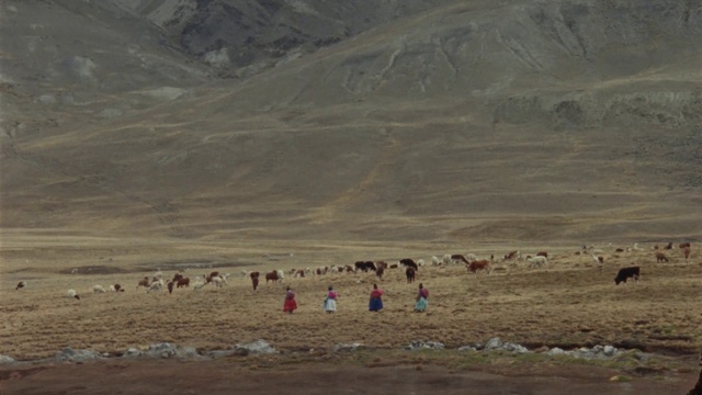 Video Reference: Ecoregion, Mountainous landforms, Tundra, Herd, Steppe, Grassland, Geological phenomenon, Wadi, Plateau, Landscape