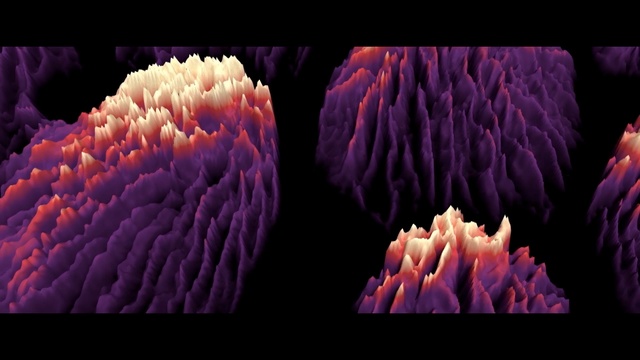 Video Reference: purple, violet, organism, close up, petal, computer wallpaper, flower, macro photography, coral, Person