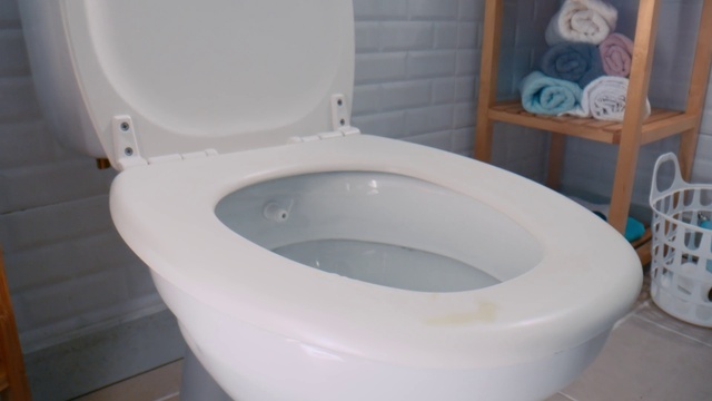Video Reference: Toilet, Toilet seat, Plumbing fixture, Property, Bidet, Bathroom, Bathtub, Plumbing, Ceramic, Floor