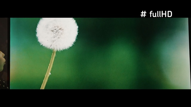 Video Reference: dandelion, herb, plant, flower