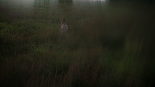 Video Reference: Nature, Green, Black, Atmospheric phenomenon, Water, Natural environment, Atmosphere, Grass, Darkness, Light