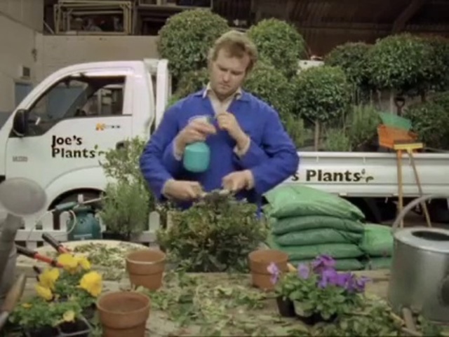 Video Reference: Plant, Garden, Tree, Local food, Herb, Car, Vehicle, Shrub, Floristry, Gardener
