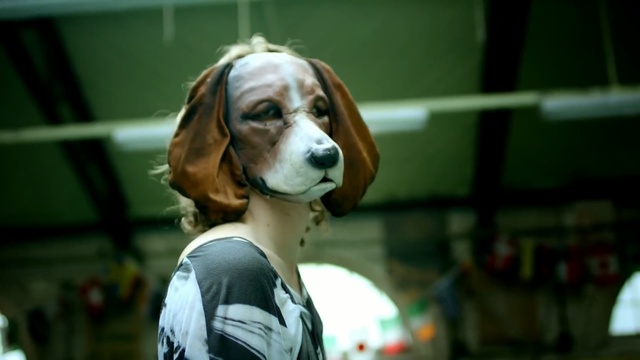 Video Reference: mammal, dog, vertebrate, dog breed, dog like mammal, beagle, snout, conformation show, companion dog, hound, Person