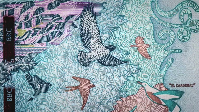 Video Reference: Illustration, Pattern, Organism, Art, Design, Marine mammal, Drawing, Fish, Visual arts, Painting