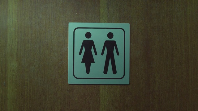 Video Reference: Green, Sign, Signage, Symbol, Traffic sign, Art, Person