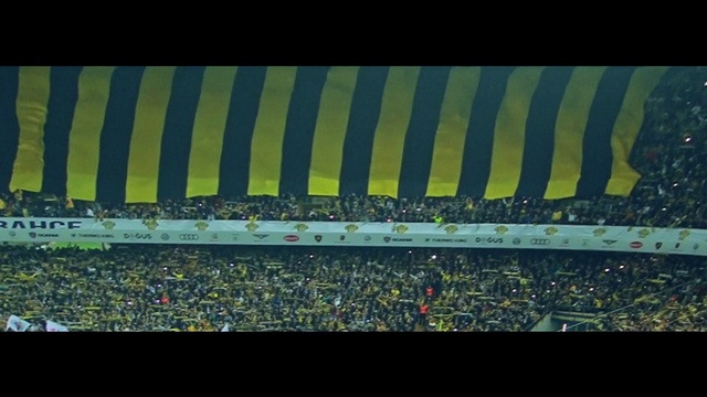 Video Reference: Green, Stadium, Sport venue, Yellow, Soccer-specific stadium, Line, Atmosphere, Grass, Flag, Artificial turf