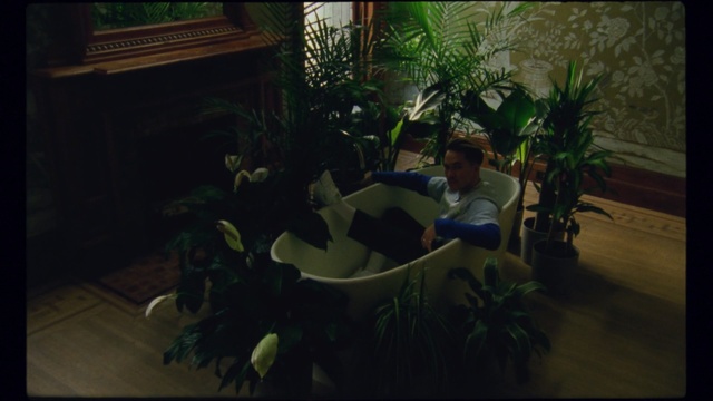 Video Reference: Green, Pc game, Screenshot, Houseplant, Organism, Fun, Plant, Jungle, Landscape, Leisure, Person