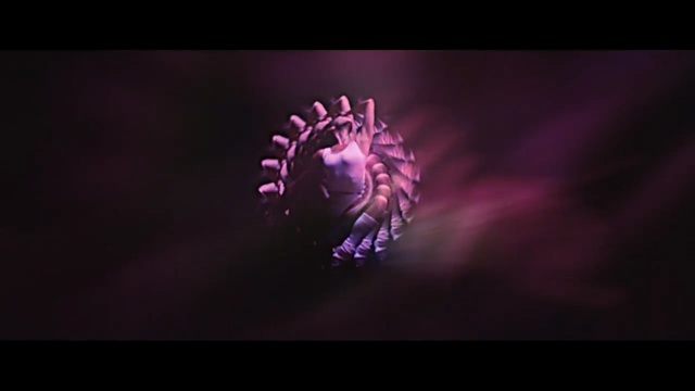 Video Reference: purple, violet, macro photography, darkness, close up, computer wallpaper, organism, magenta, event