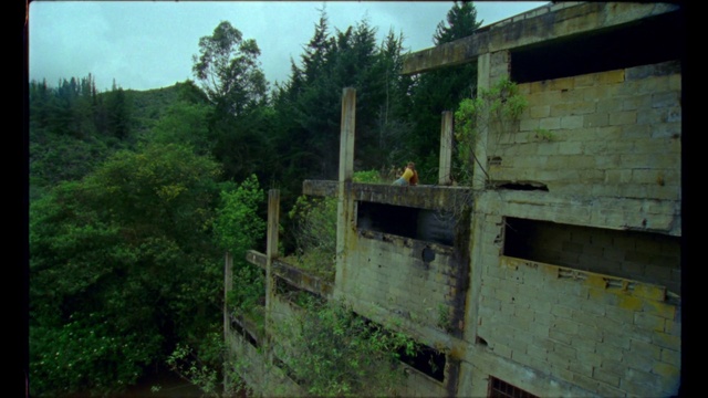 Video Reference: Nature, Vegetation, Green, Land lot, Biome, Wall, Tree, Rural area, House, Landscape