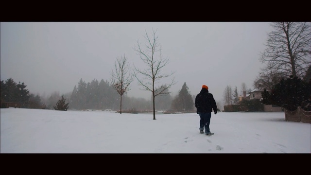 Video Reference: snow, winter, freezing, sky, tree, blizzard, winter storm, geological phenomenon, ice, Person