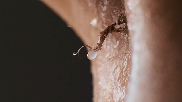 Video Reference: jewellery, close up, macro photography, finger, neck