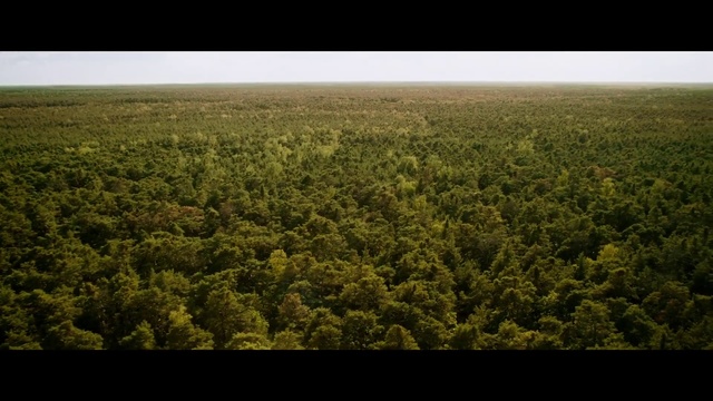 Video Reference: Vegetation, Nature, Natural environment, Forest, Aerial photography, Green, Biome, Tropical and subtropical coniferous forests, Field, Natural landscape