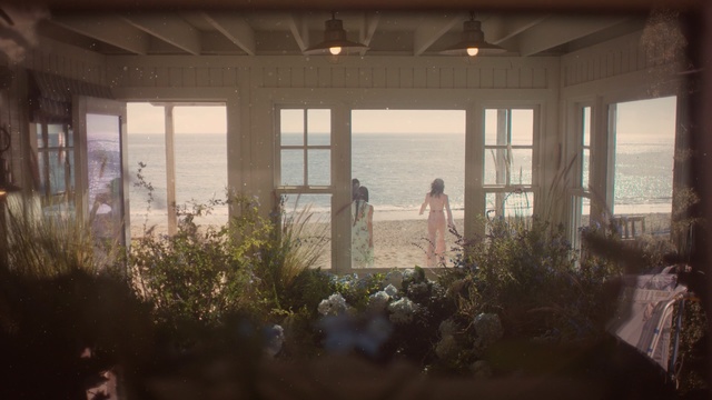 Video Reference: home, window, house, sunlight, tree, ceremony