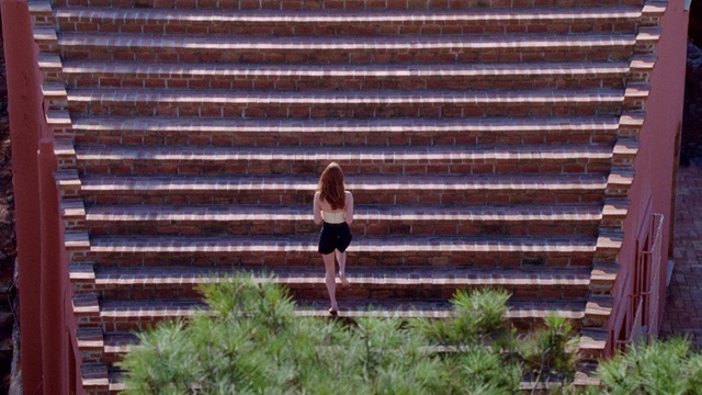 Video Reference: Window blind, Wood, Window covering, Window, Window treatment, Plant, Bird, Wood stain, Interior design