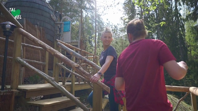 Video Reference: Natural environment, Community, Tree, Leisure, Fun, Playground, Recreation, Forest, Plant, Jungle