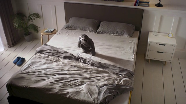 Video Reference: Bed sheet, Bed, Bedroom, Furniture, Room, Bed frame, Bedding, Mattress, Property, Duvet cover