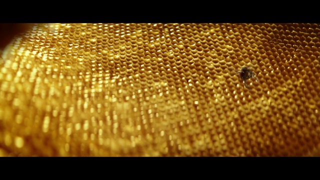 Video Reference: Gold, Amber, Rectangle, Font, Pattern, Metal, Event, Macro photography, Fashion accessory, Liquid