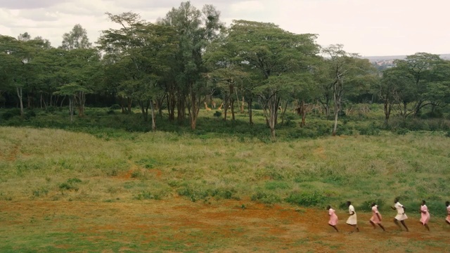 Video Reference: tree, grass, woody plant, landscape, vascular plant, sky