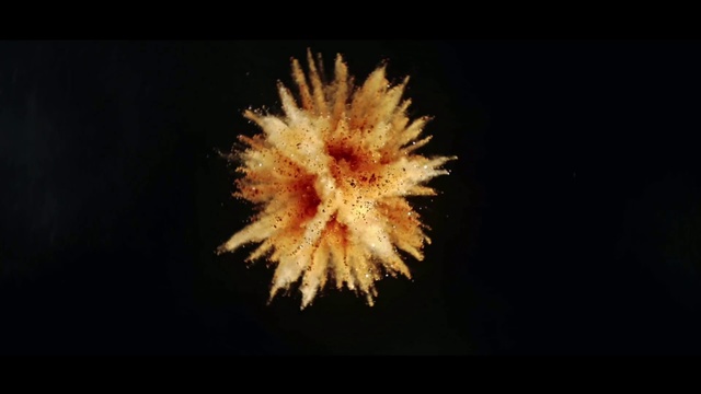Video Reference: Organism, Marine biology, Darkness, Space, Macro photography, Midnight, Fireworks, Fruit, Star, Outdoor object