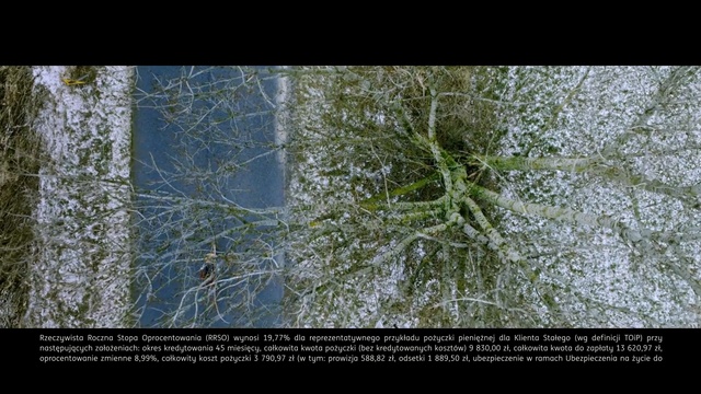 Video Reference: Nature, Vegetation, Tree, Green, Natural environment, Leaf, Forest, Branch, Plant, Organism