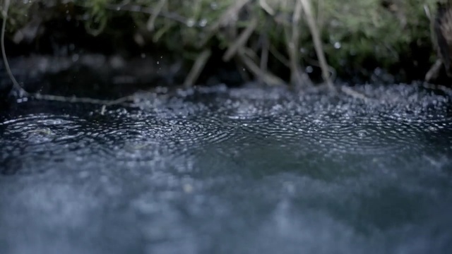 Video Reference: water, water resources, body of water, watercourse, river, reflection, stream, tree, creek, bank